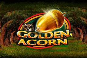 CTInteractive | Golden Acorn