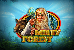 CTInteractive | Misty Forest