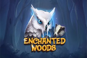 CTInteractive | Enchanted Woods